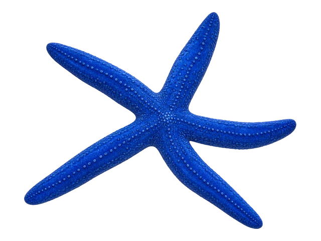 Blue Linckia Star